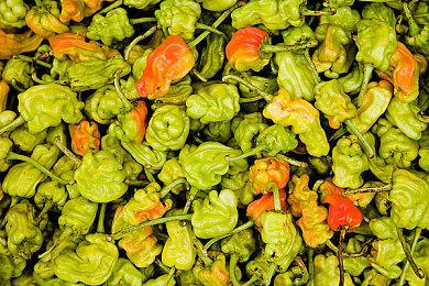 尼基塔分享《逃离塔科夫》今年剩余时间更新路线图